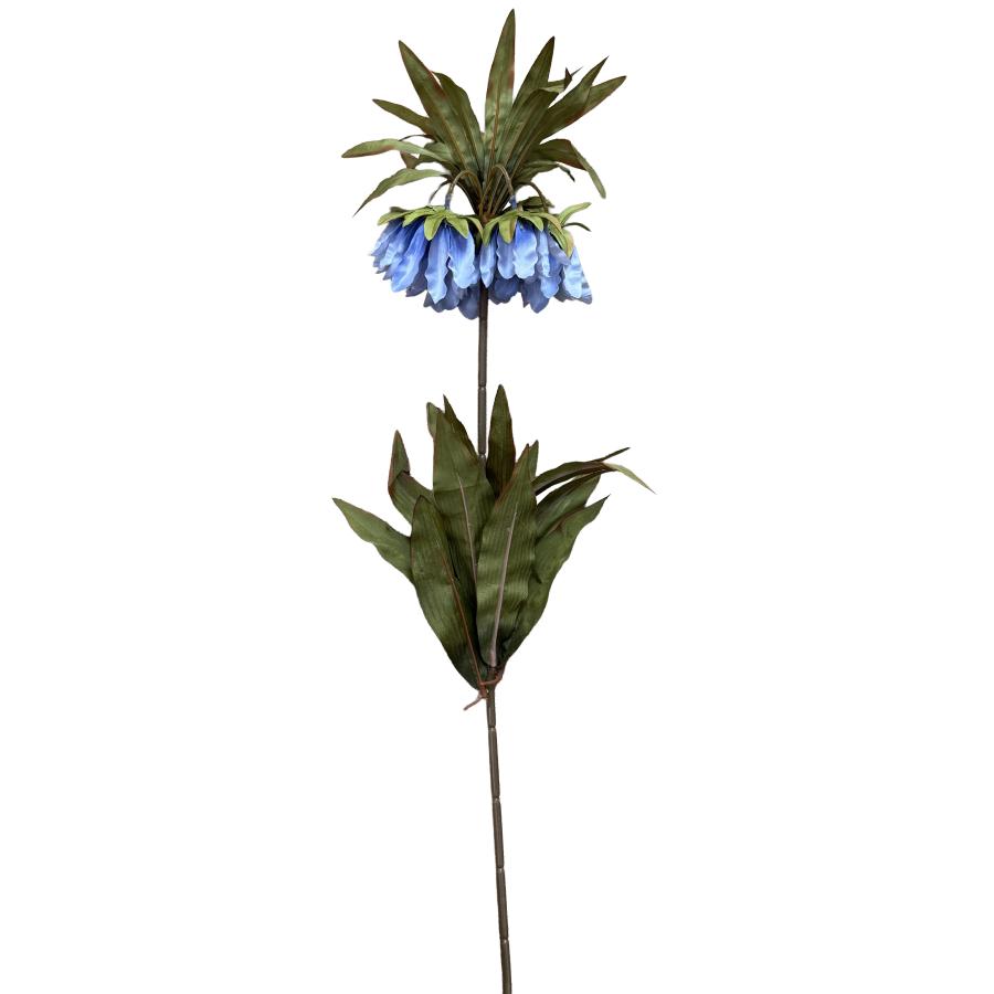 Blue Fritillaria Crown